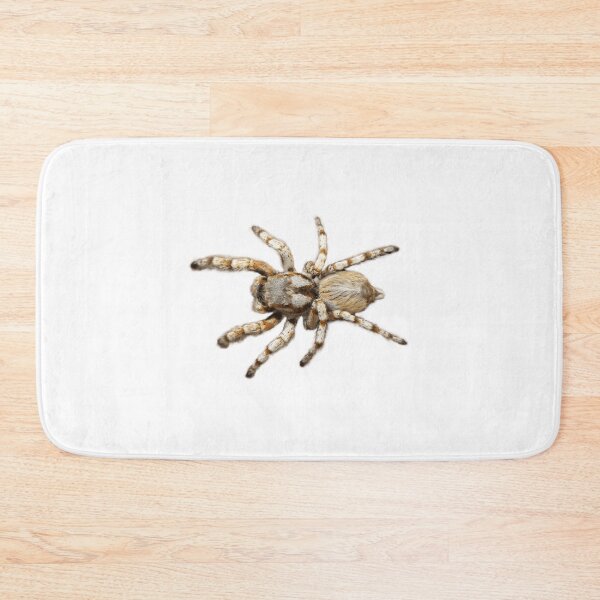 Item preview, Spider crawl designed and sold by lacm2020.