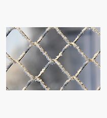 Frost Photographic Print
