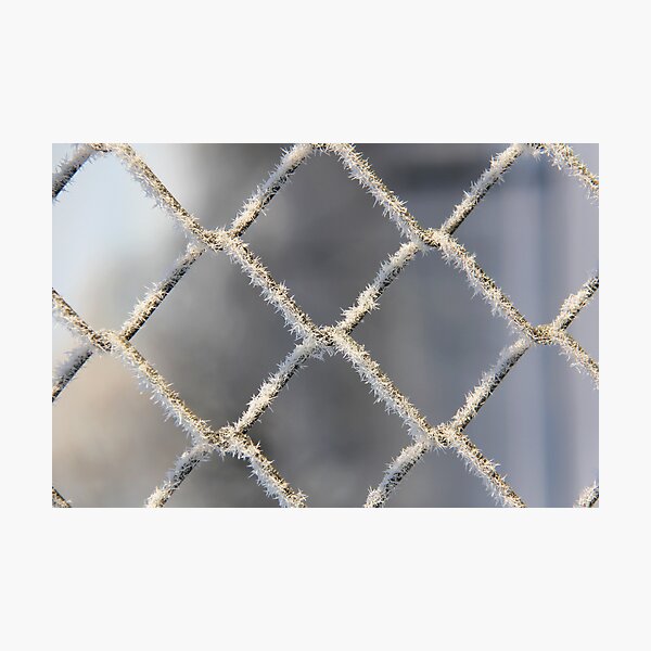 Kujo Photographic Prints Redbubble - fencing platinum roblox