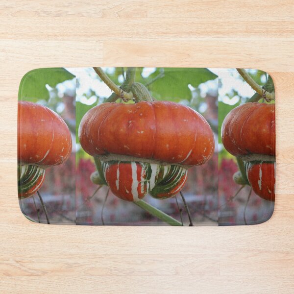Item preview, Turban squash designed and sold by pinkal.
