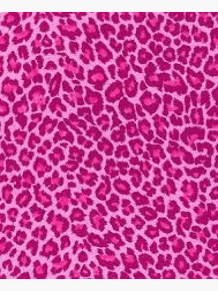 pink cheetah ashlyn