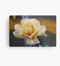 Charm Metal Print