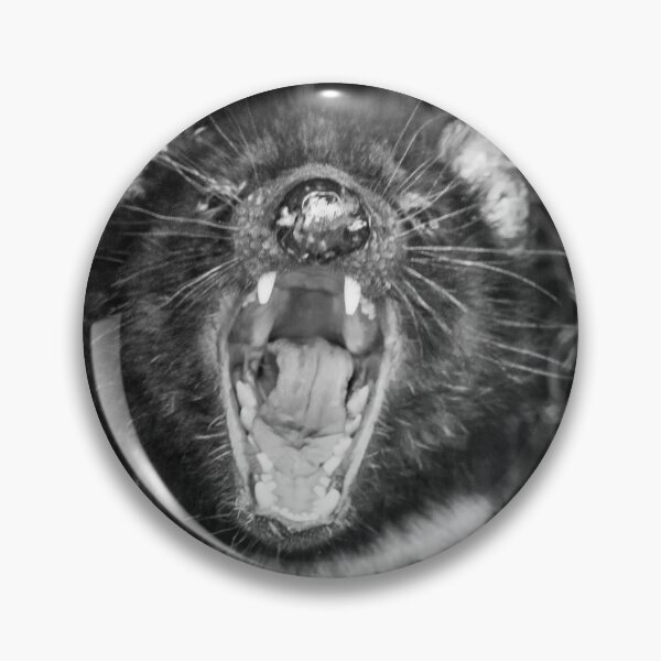 Item preview, Devil Teeth designed and sold by Paul Campbell  Photography.