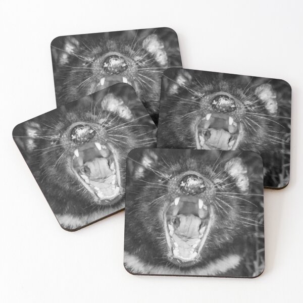 Item preview, Devil Teeth designed and sold by Paul Campbell  Photography.