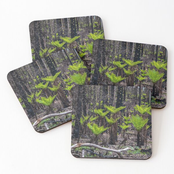 Item preview, Punga forest designed and sold by Teniche.