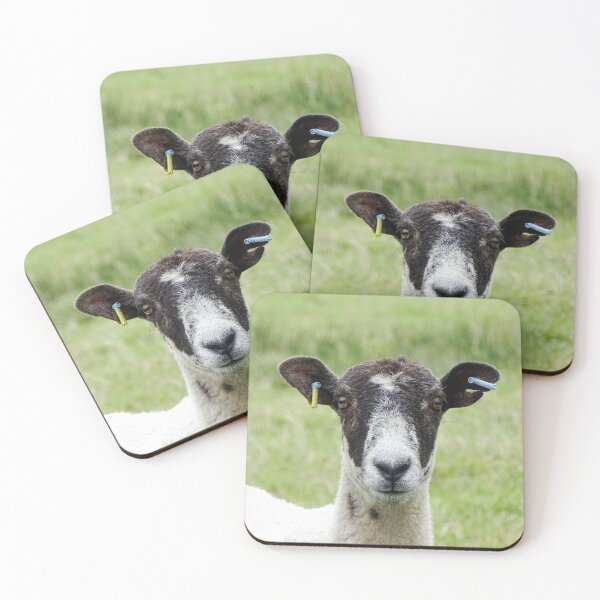 Item preview, Ewe Lookin At Me? designed and sold by Barrie Woodward.