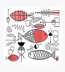Mid-Century Fish Salmon Pink Photographic Print