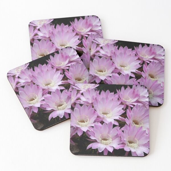 Item preview, Profusion of Pink Cactus designed and sold by Carole-Anne.