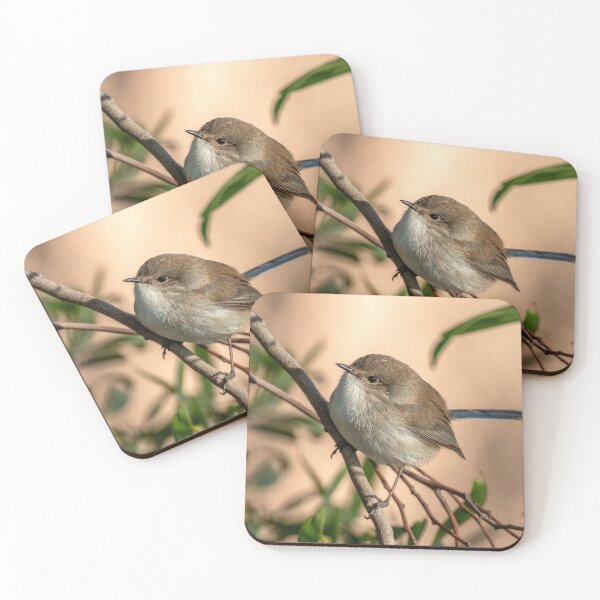 Item preview, Fairy Wren love designed and sold by Luke Foster.
