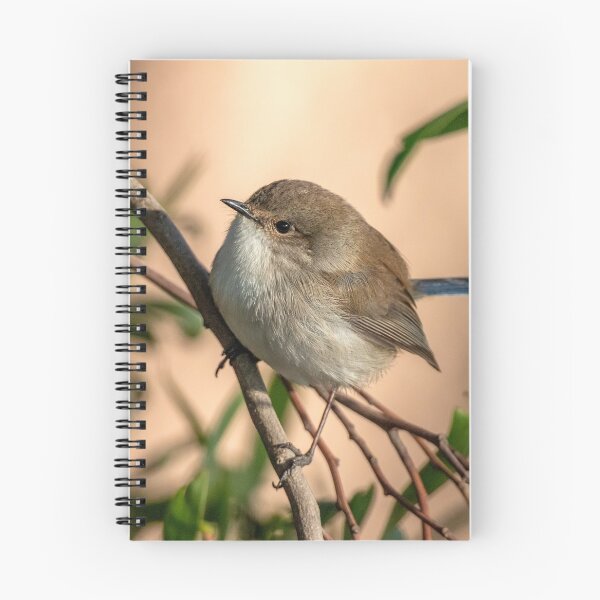 Item preview, Fairy Wren love designed and sold by Luke Foster.