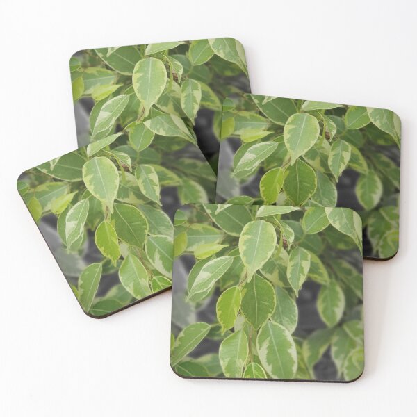 Item preview, leaves designed and sold by Luci3120.