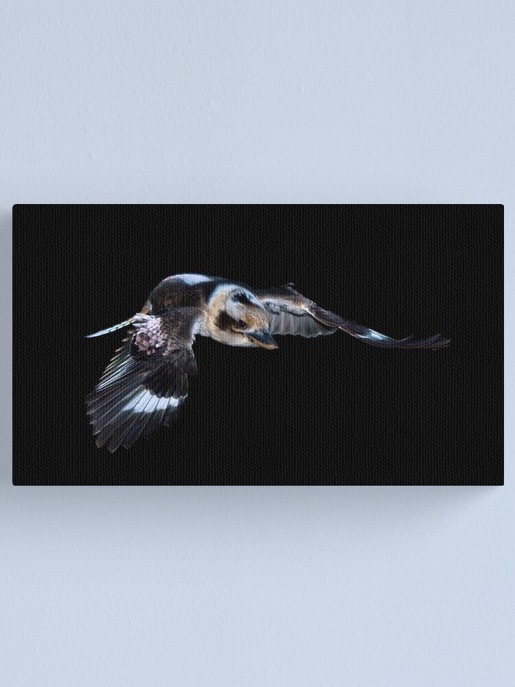 Alternate view of Flying Kookaburra Canvas Print