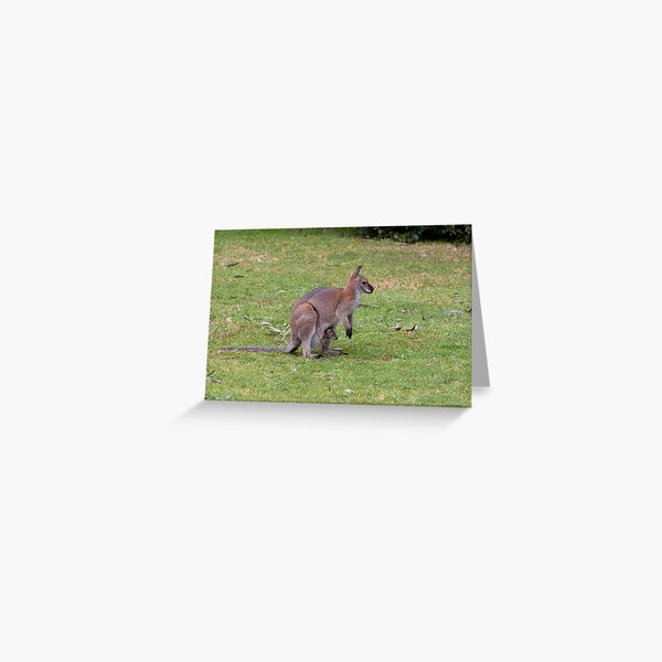 Wallaby with joey Greeting Card