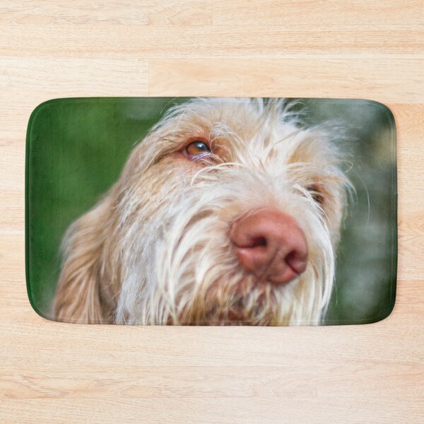 Item preview, Daydreaming Spinone designed and sold by FOLK ART FUSION by heidiannemorris.