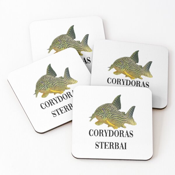 Item preview, Corydoras Sterbai designed and sold by GFishy.