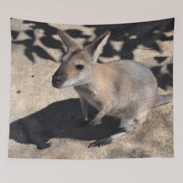 Item preview, Wallaby  designed and sold by Artlajf.