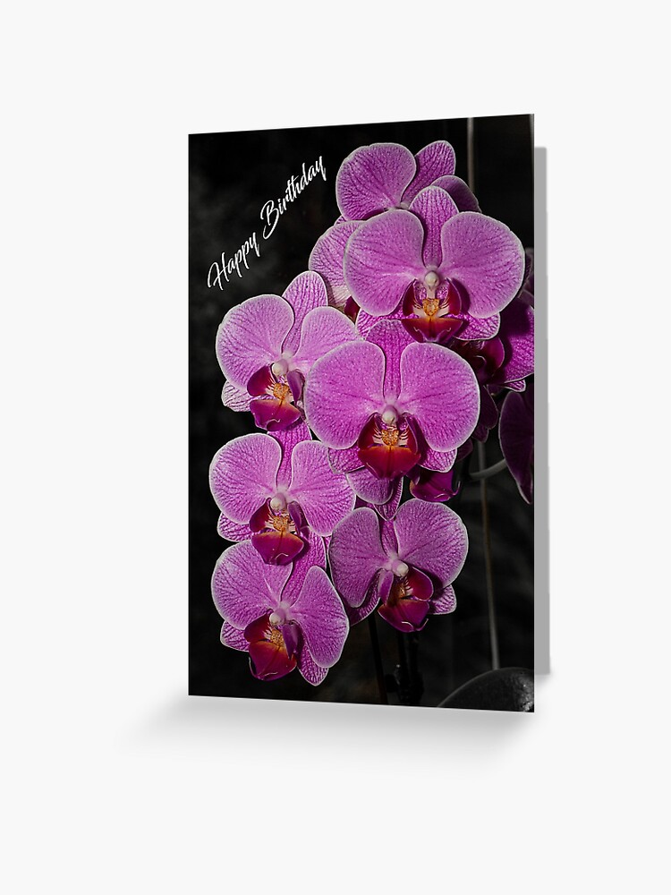Orchids on Pink Happy Birthday Card - Little Love Press
