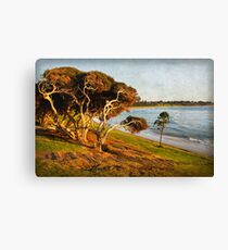 Cosy Corner at Torquay Canvas Print
