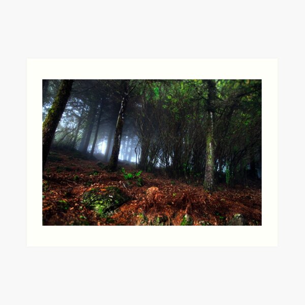 Day Ten - Fangorn Art Print