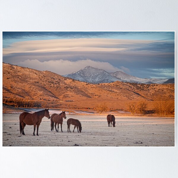 Item preview, Rocky Mountain Country Morning designed and sold by Bo Insogna.