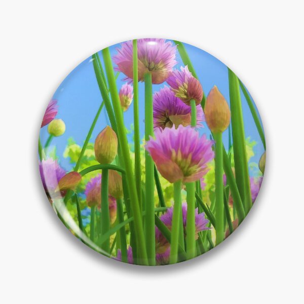 Item preview, Chive flowers on a sunny day designed and sold by JoAnnFineArt.