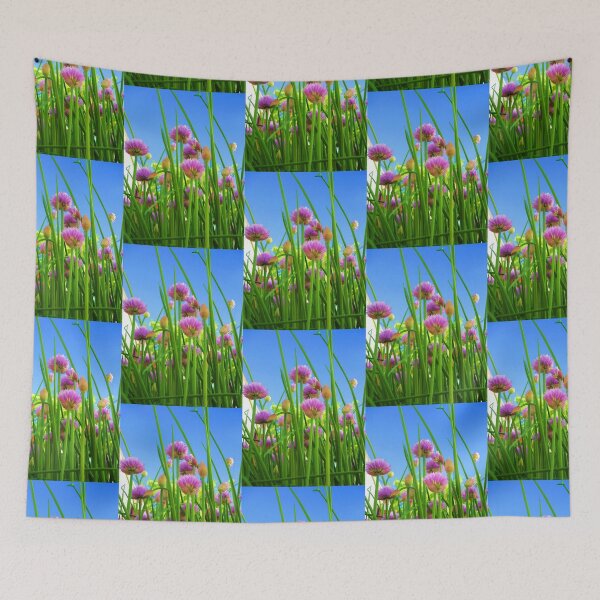 Item preview, Chive flowers on a sunny day designed and sold by JoAnnFineArt.