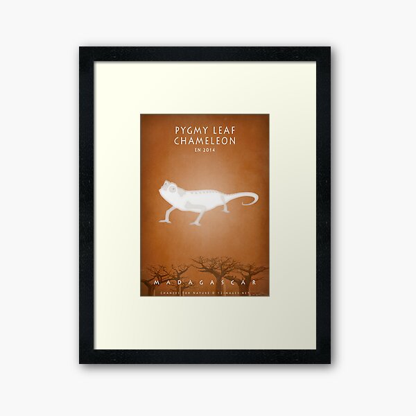 Pygmy leaf chameleon Madagascar wildlife Framed Art Print
