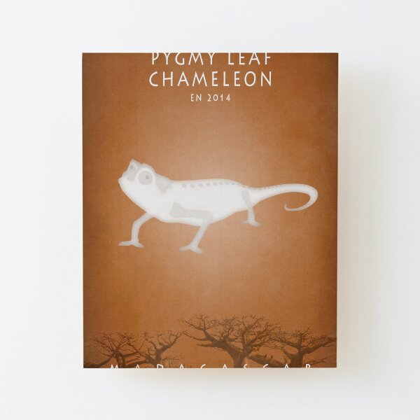 Pygmy leaf chameleon Madagascar wildlife Wood Mounted Print