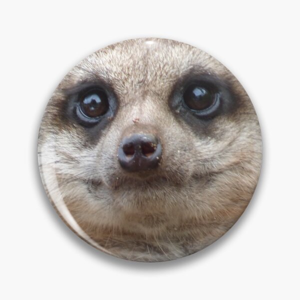 Item preview, Happy Meercat designed and sold by Bluelizzy.