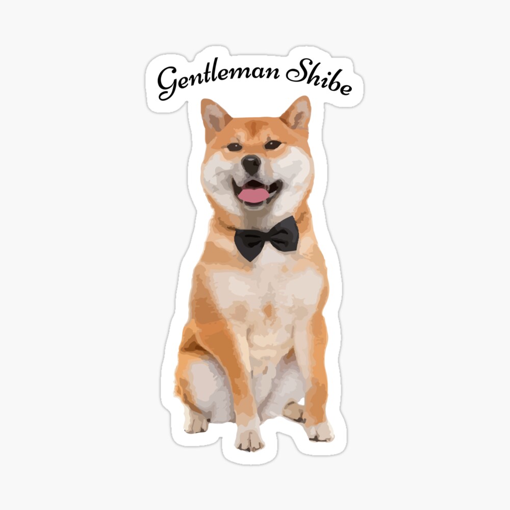 Cute Shiba Inu Doge Poster By Tmagician Redbubble