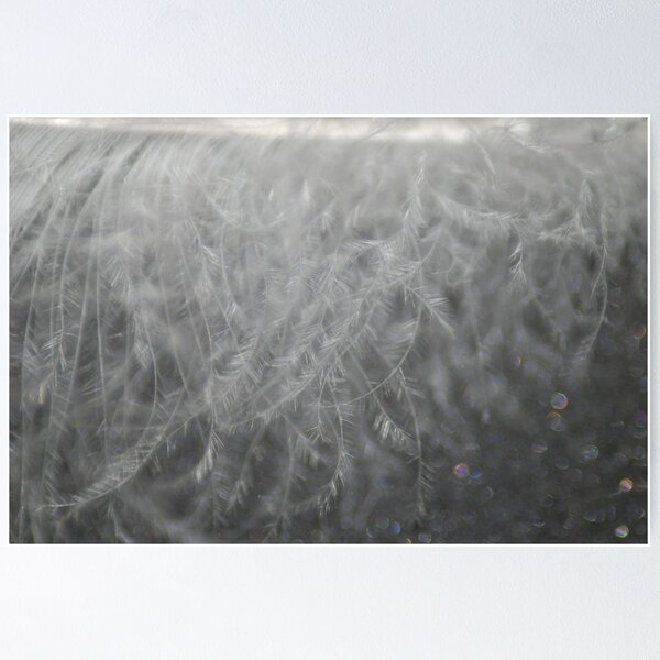 Item preview, Feather Abstract designed and sold by Mark McReynolds.