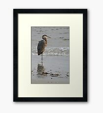 Sentinel Framed Print