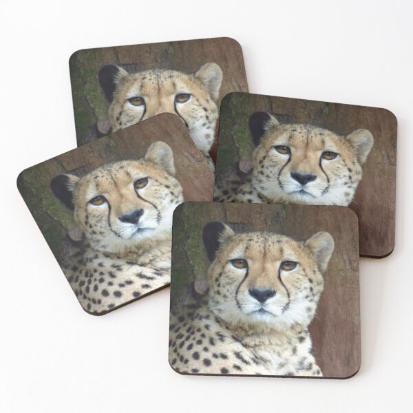 Item preview, Cheeta designed and sold by Bluelizzy.
