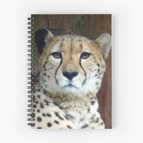 Item preview, Cheeta designed and sold by Bluelizzy.