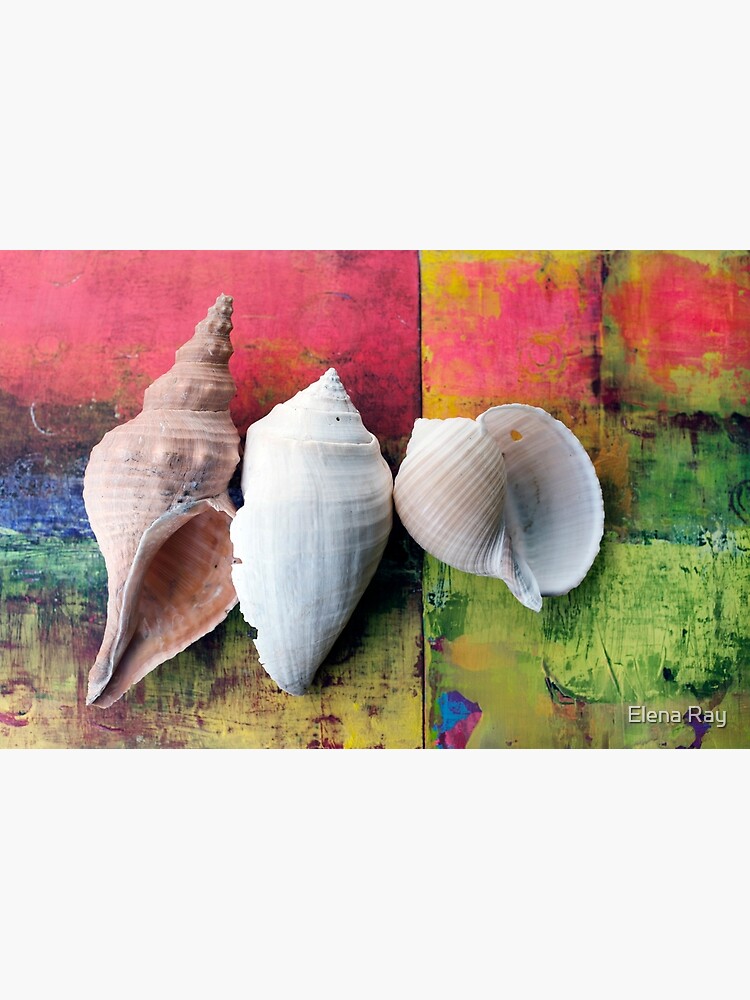 Seashells On Acid Tone Paintings Canvas Print for Sale by Elena Ray