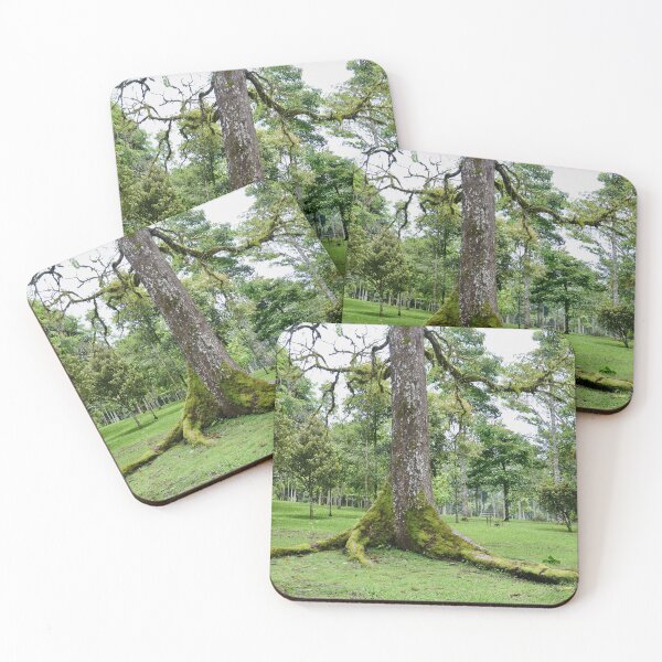Item preview, Rain Forest Tree - Nature designed and sold by joejiing.