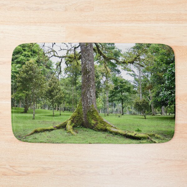 Item preview, Rain Forest Tree - Nature designed and sold by joejiing.