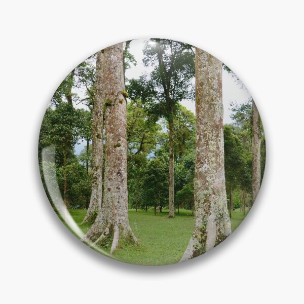 Item preview, Rain Forest Tree 2 - Nature designed and sold by joejiing.