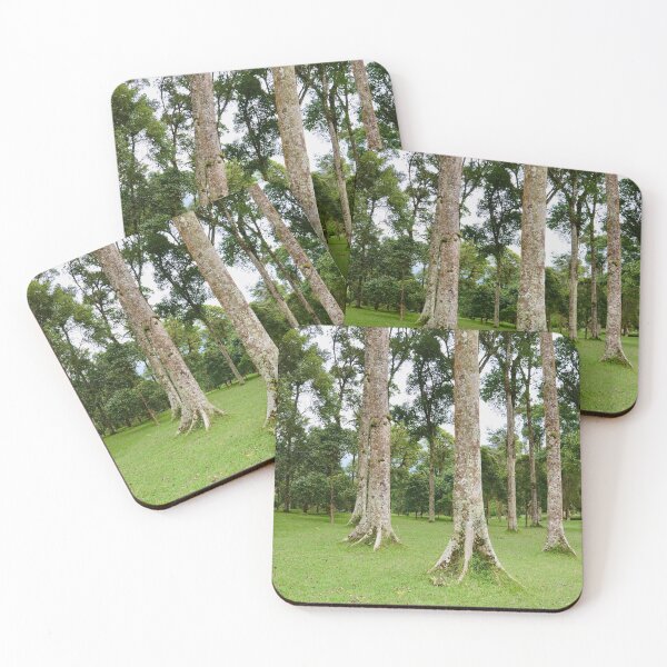 Item preview, Rain Forest Tree 2 - Nature designed and sold by joejiing.