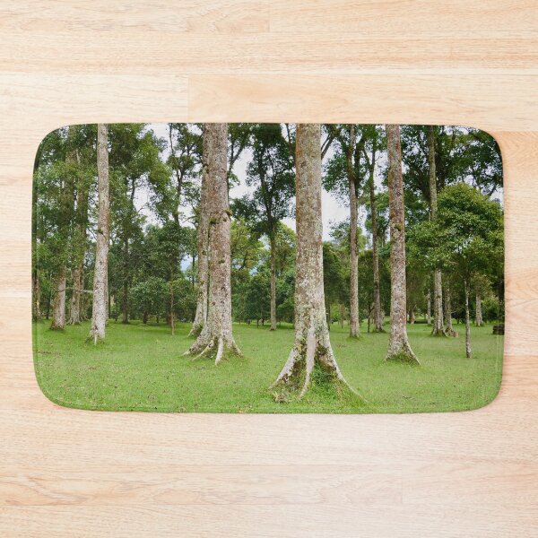 Item preview, Rain Forest Tree 2 - Nature designed and sold by joejiing.