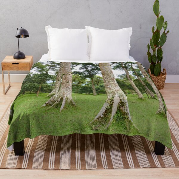 Item preview, Rain Forest Tree 2 - Nature designed and sold by joejiing.