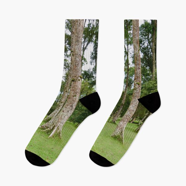 Item preview, Rain Forest Tree 2 - Nature designed and sold by joejiing.