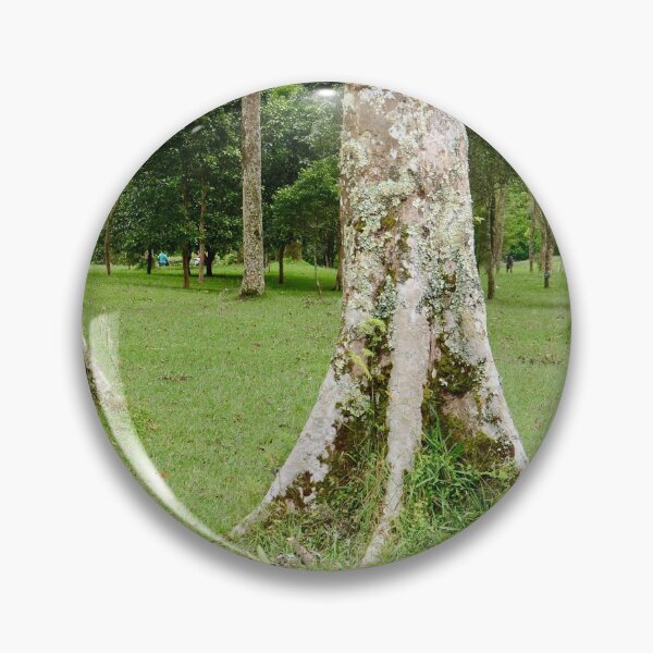 Item preview, Rain Forest Tree 3 - Nature designed and sold by joejiing.