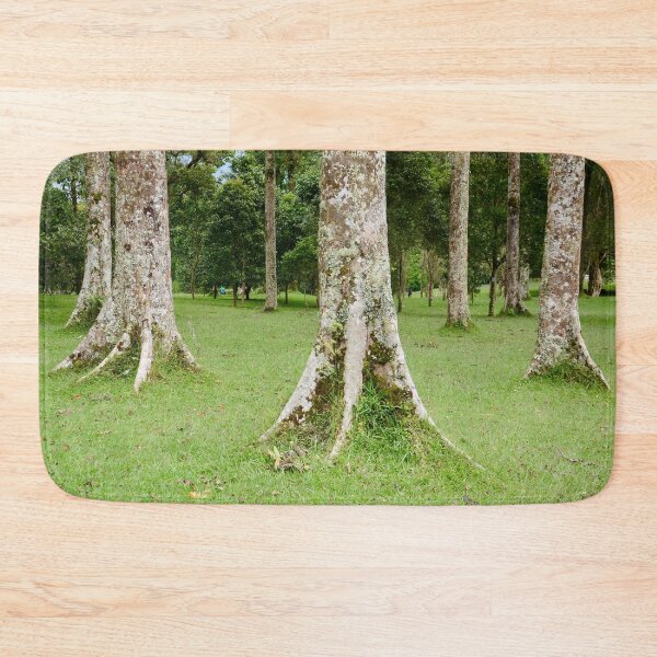 Item preview, Rain Forest Tree 3 - Nature designed and sold by joejiing.