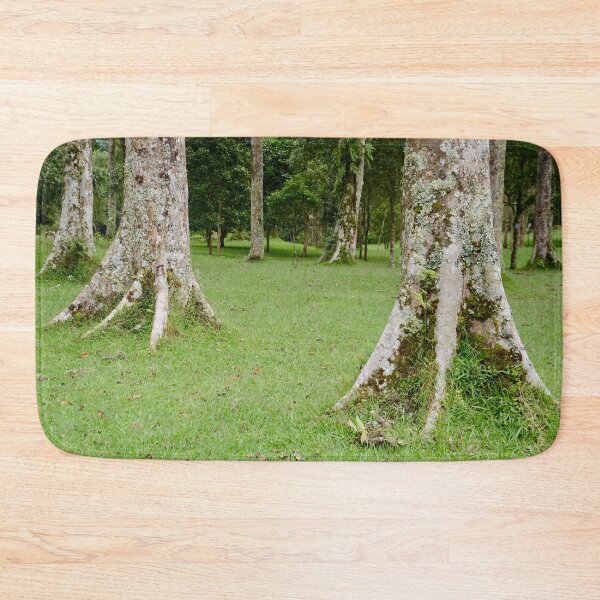 Item preview, Rain Forest Tree 4 - Nature designed and sold by joejiing.
