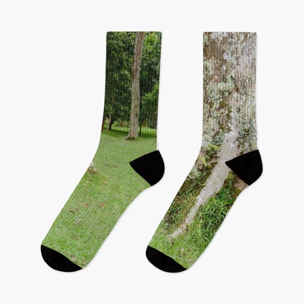 Item preview, Rain Forest Tree 4 - Nature designed and sold by joejiing.