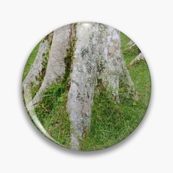 Item preview, Rain Forest Tree 5 - Nature designed and sold by joejiing.