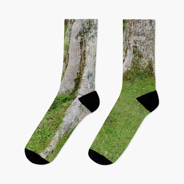 Item preview, Rain Forest Tree 5 - Nature designed and sold by joejiing.