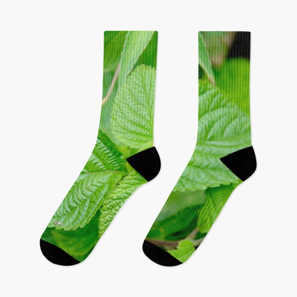 Item preview, Fresh Green Leaves - Nature designed and sold by joejiing.
