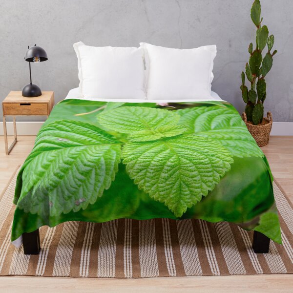 Item preview, Fresh Green Leaves - Nature designed and sold by joejiing.